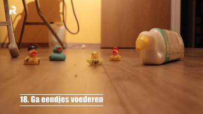 Wat te doen in quarantaine?