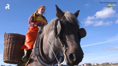 Garnaalvissers van Oostduinkerke